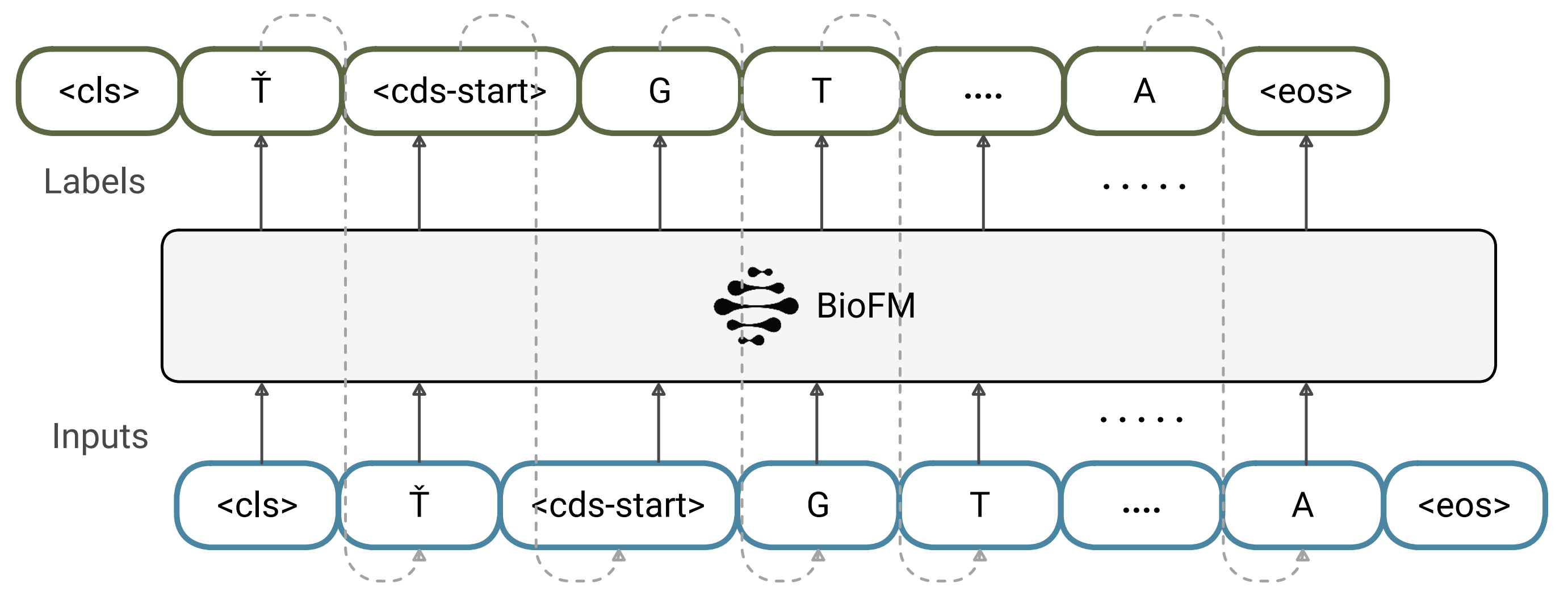 biotoken.png